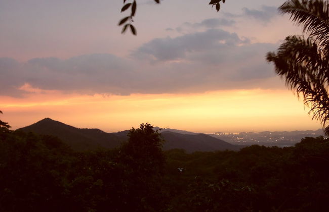 Sol de minca - Foto 29