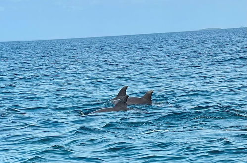 Photo 14 - Room in Guest Room - Dolphin Suite 40 m2 in Villa 560 m2, Indian Ocean View