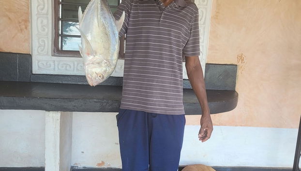 Pesca