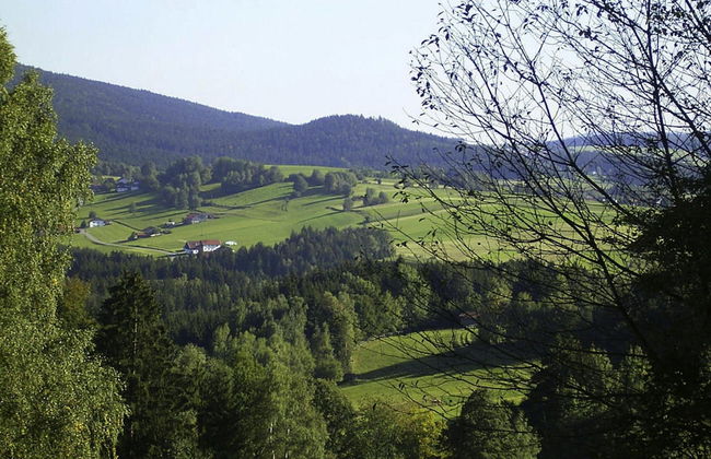Log House in Rinchnach With Panoramic Views - Foto 24