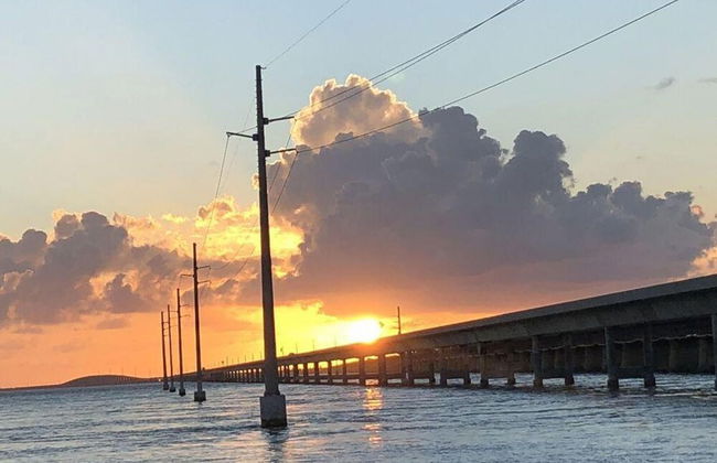 4 Beautiful 4 Bed 3 Bath Pool Home w Free Dock - Photo 33