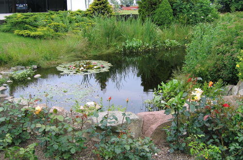 Photo 18 - Gemuetliches Ferienhaus mit Meerblick in Bastorf