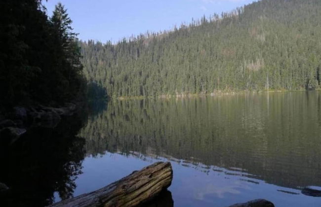 Modern Apartment in Eslarn With Lake Near - Foto 66