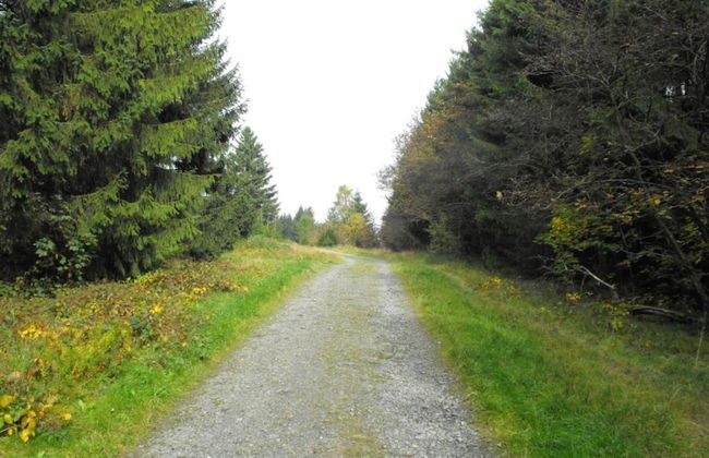 Wohnung in Wildemann Nahe Harzwald - Foto 27