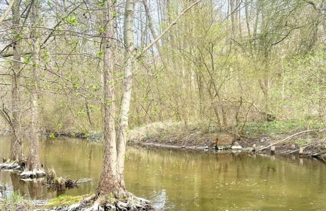 A Wooden, Eco-friendly House by the Goszcza Lake. Living Room, 2 Bedrooms - Foto 80