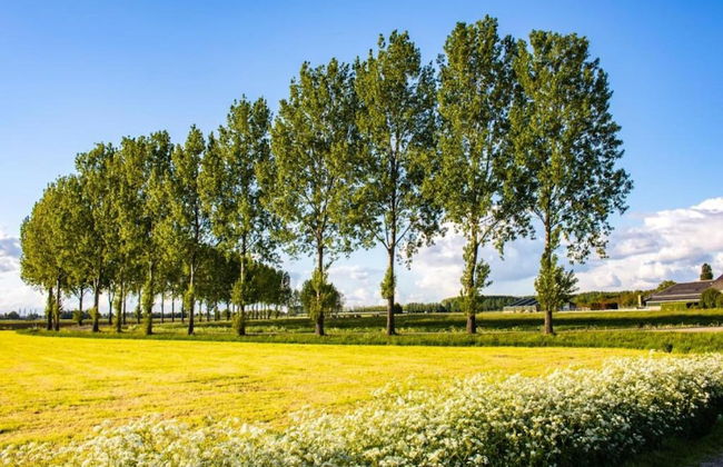 Getaway With Garden in Gelderland - Foto 39