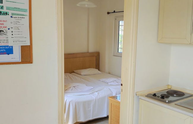 Evi Studios & Apartments Pefkos - Photo 8