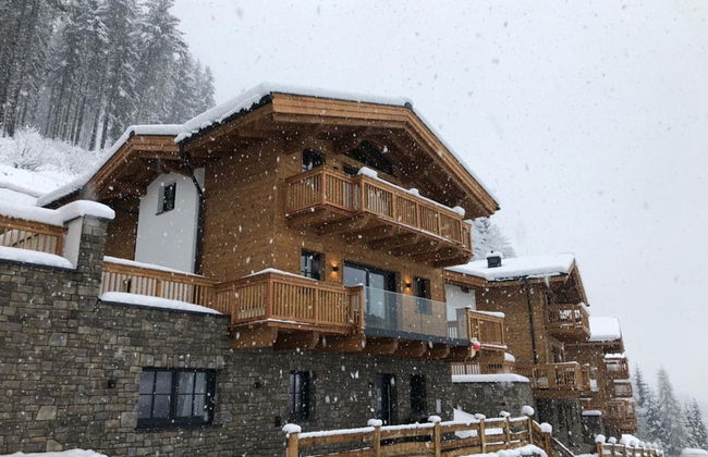 Modern Chalet in Muhlbach am Hochkonig Near Ski Area - Foto 59