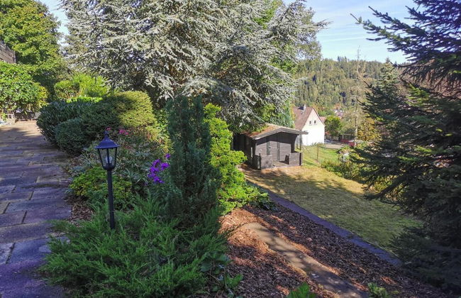 Apartment in Altenau Near Hexenstieg Trail - Foto 31