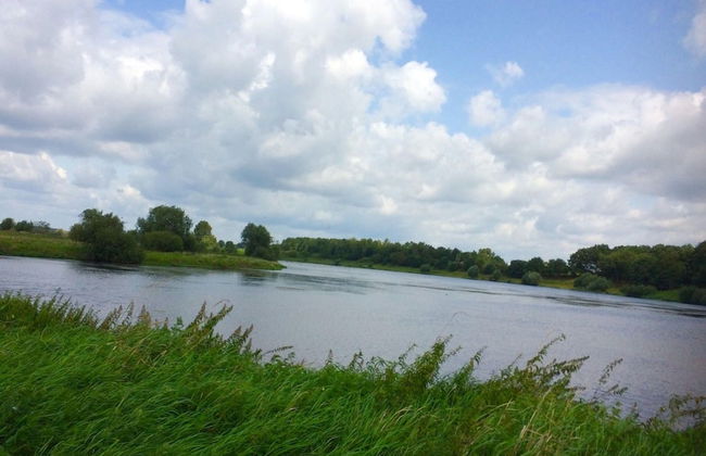 Pet Friendly & Peaceful Stay - Foto 31