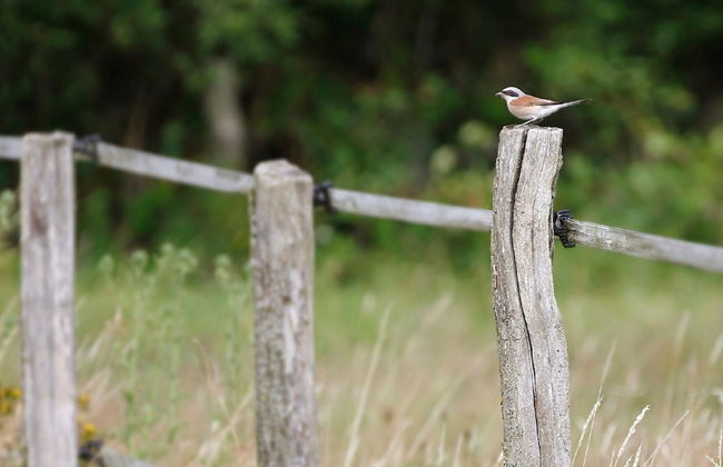 Unusual Hideaway in Lorraine - Foto 15