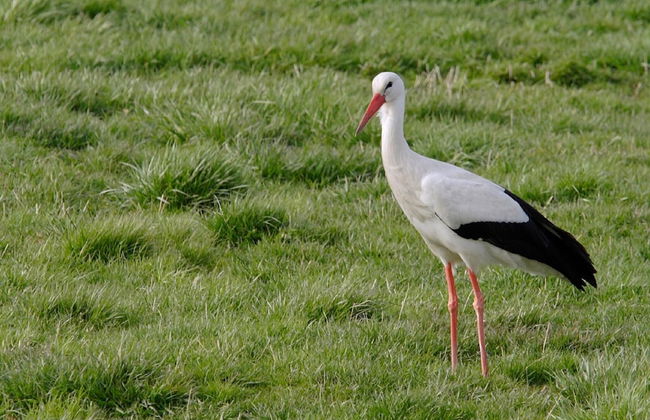 Unusual Hideaway in Lorraine - Foto 23