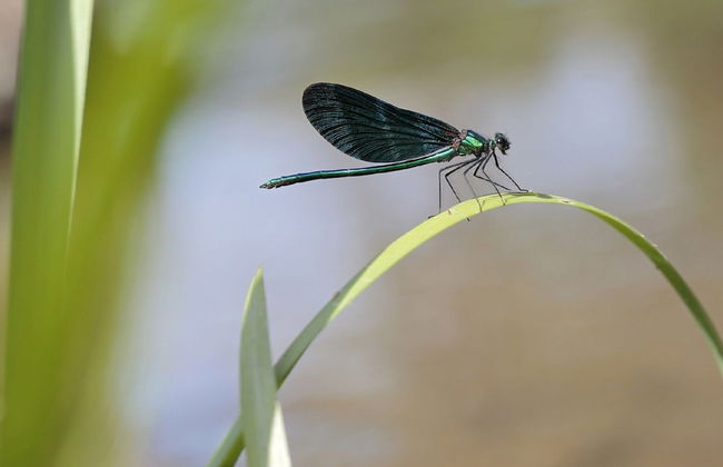 Unusual Hideaway in Lorraine - Foto 16