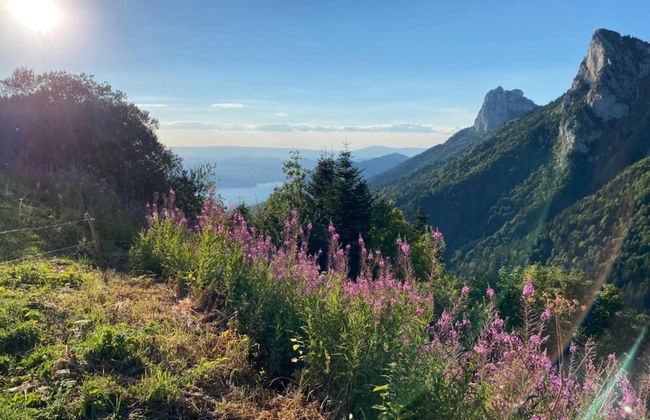 Retreat Near Lake Annecy - Photo 29
