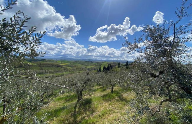 Tranquil Tuscan Stay With Pool - Foto 24