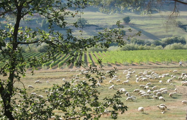 Belvilla by OYO Lovely Estate in the Sabina Hills - Foto 31