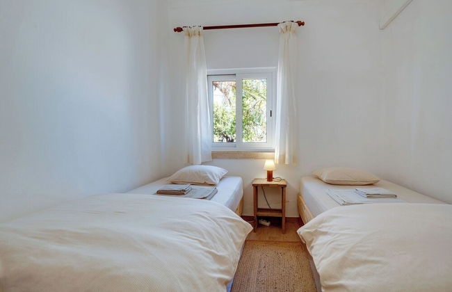 Quinta Coelho - Foto 17