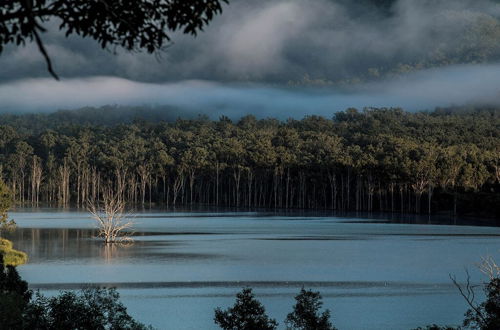 Photo 27 - Wander in the Scenic Rim