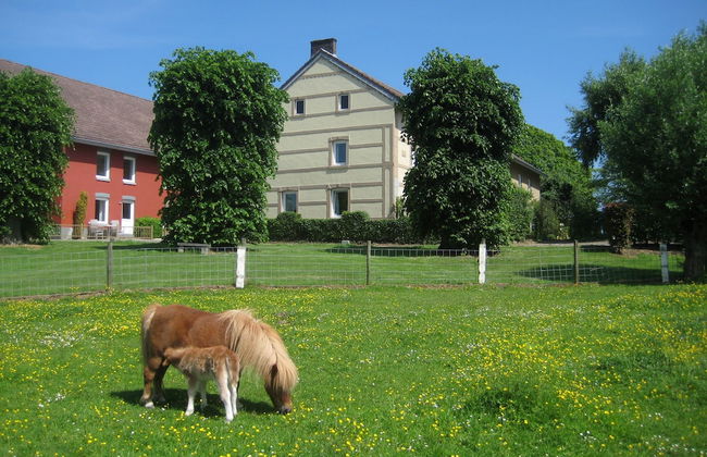 Bungalowpark Landsrade - Foto 16