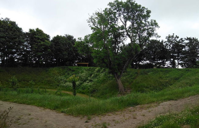 Secluded Holiday Home in Jutland near Beach - Photo 7