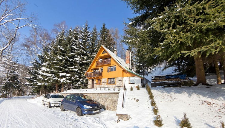 Foto 1 - Luxury Chalet Near Ski Area in Benecko