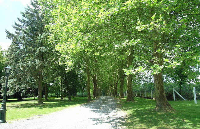 Cozy Escape in Bohon - Photo 40