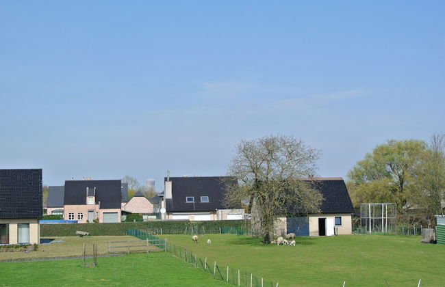 Lo-gies - Foto 22