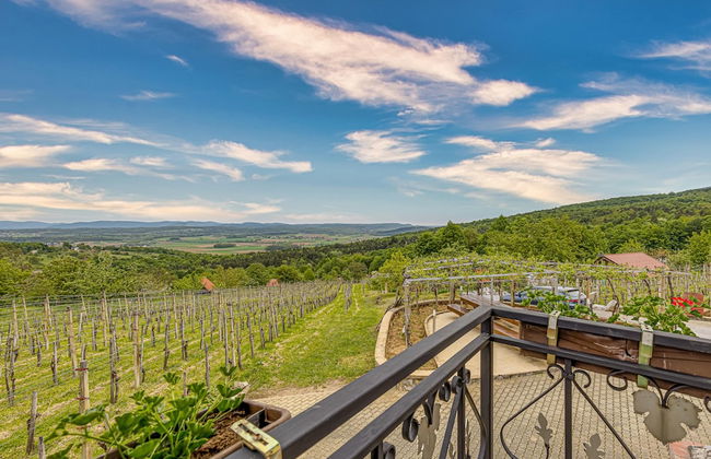 Vineyard Homestead Vrtin - Foto 43