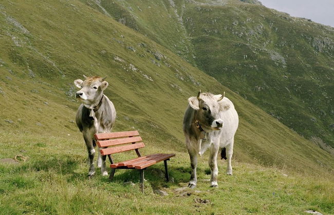 Stellar Holiday Home in Kirchdorf in Tyrol near Ski Area - Foto 30