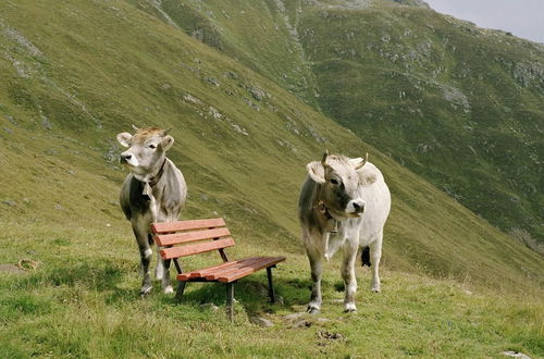 Foto 37 - Stellar Holiday Home in Kirchdorf in Tyrol near Ski Area