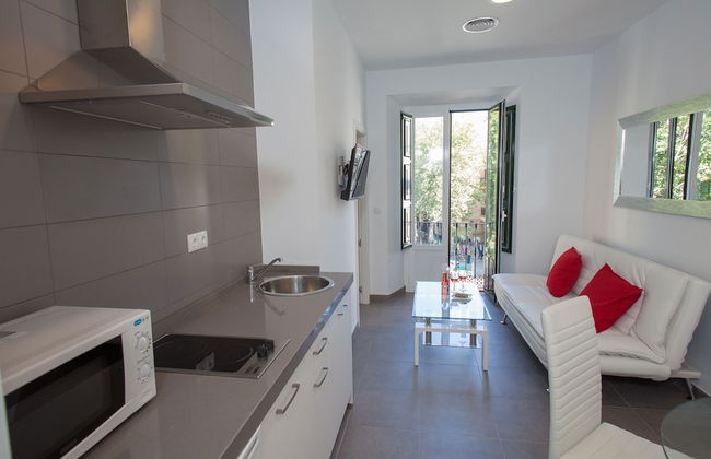 Apartamentos Terrazas de la Catedral - Foto 49