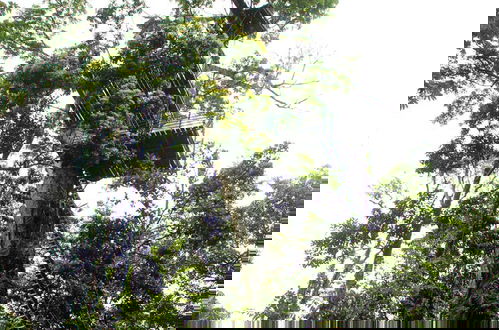 Foto 74 - Green Jungle House