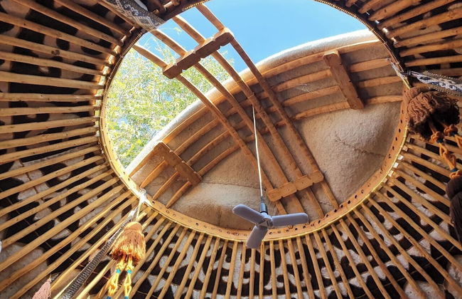 Agat Yurt Camp - Foto 16