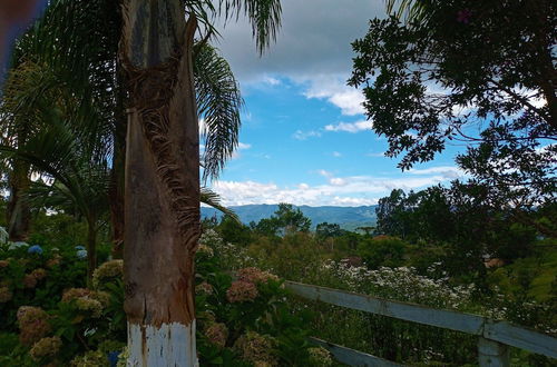 Photo 65 - Sítio Pedacinho do Céu na Serra de SC