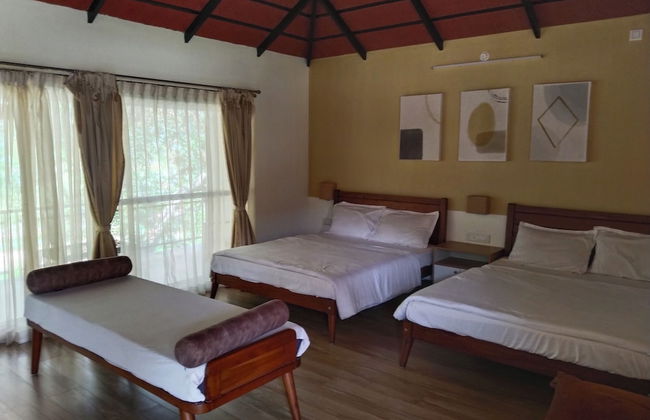 Nature Valley Resort - Foto 13