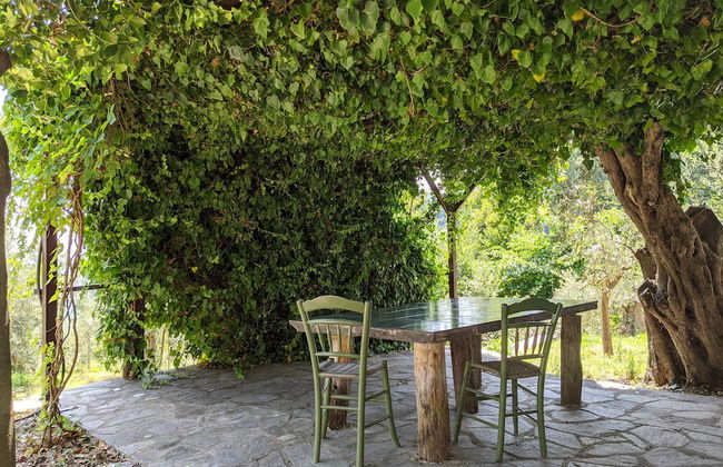 Daria's home at Pelion - Photo 32