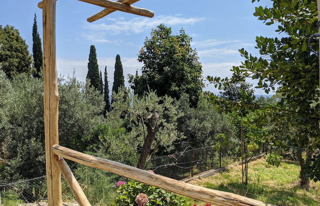 Daria's home at Pelion - Photo 33