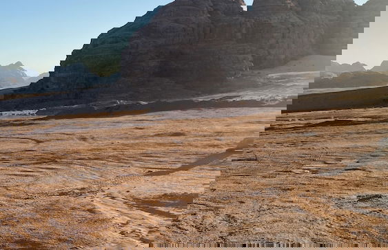 Wadi Rum Rose camP - Foto 48