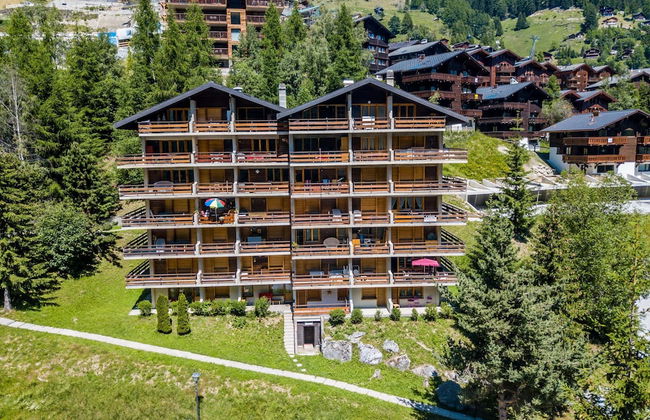 Cozy Apartment in the Centre of Grimentz - Foto 22