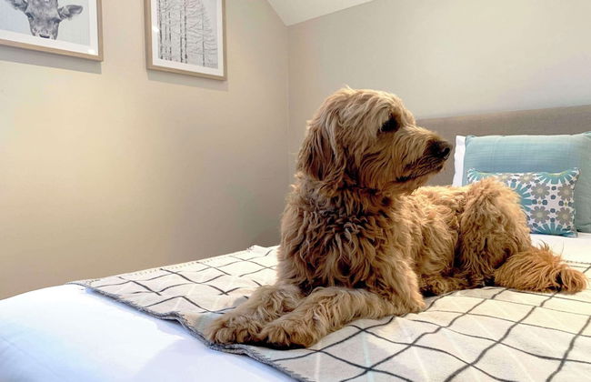 The Studios by Manna, Ascend Hotel Collection - Foto 21