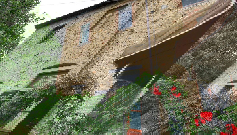 Imagem principal