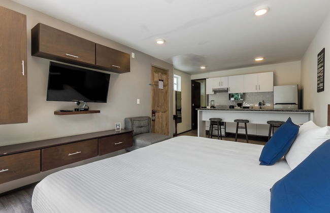 OM686 Urban Lofts Short-Long Stays - Photo 11