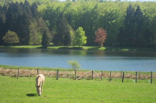 Photo 23 - Luxury Pet Friendly Chalet in Bièvre near Forest