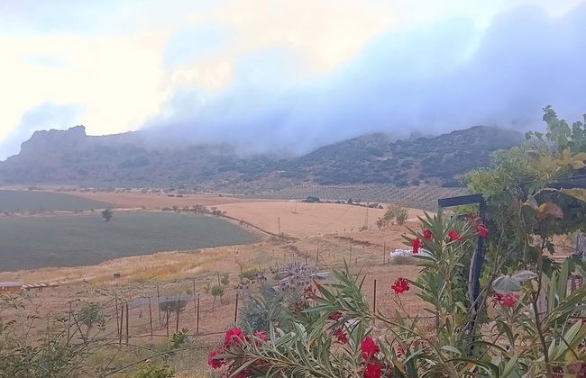 Nature Lovers Escape on an Eco-friendly Vineyard - Foto 19