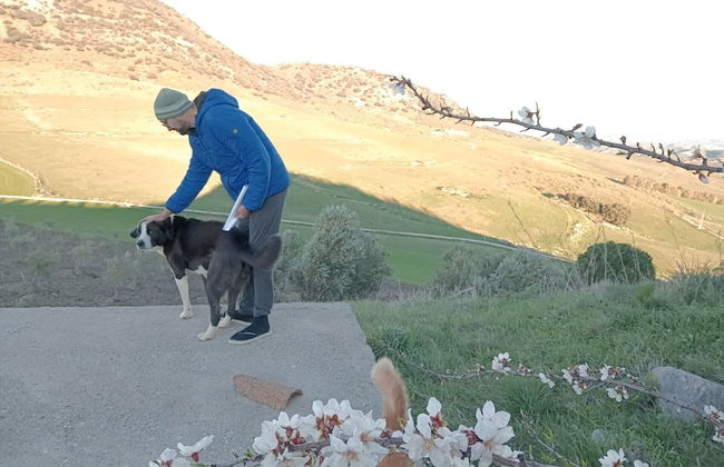 Nature Lovers Escape on an Eco-friendly Vineyard - Foto 8