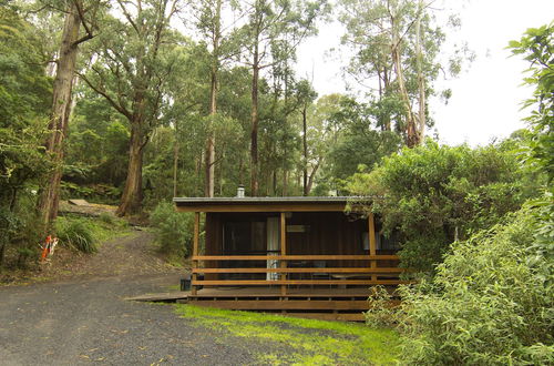 Photo 44 - Tarra Valley Retreat