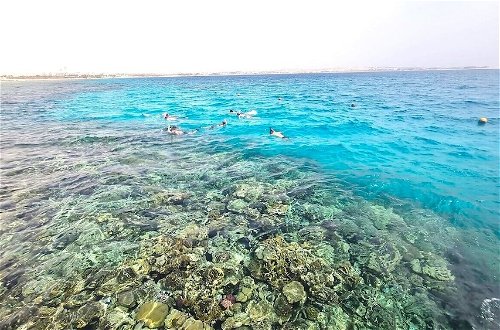 Photo 37 - Beachfront in 5 Star Hotel With Reef Hurghada