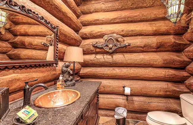 Forge Lake Lodge in Topton - Photo 44