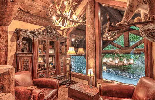 Forge Lake Lodge in Topton - Photo 28