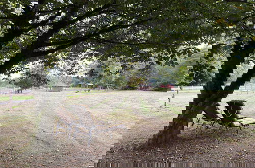 Foto 69 - Holiday Home on a Horse Farm in the Luneburg Heath